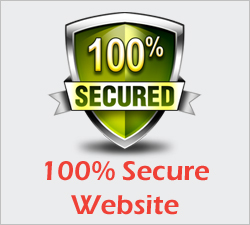 Secure Website Banner